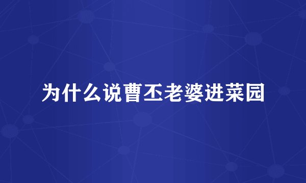 为什么说曹丕老婆进菜园