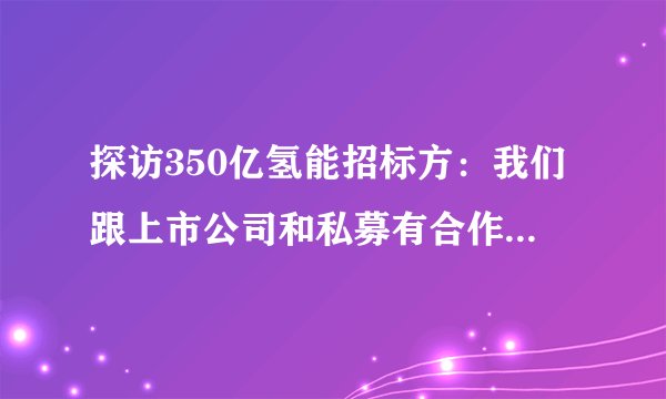 探访350亿氢能招标方：我们跟上市公司和私募有合作！专家：这个项目是在侮辱大家的智商