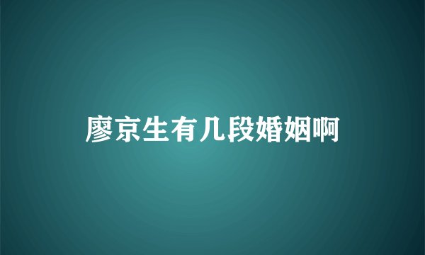 廖京生有几段婚姻啊