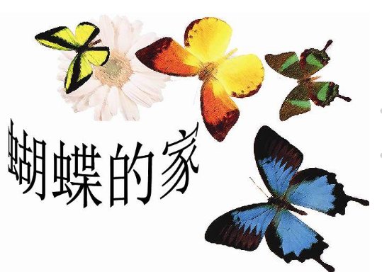 《蝴蝶的家》可以提出哪些问题？
