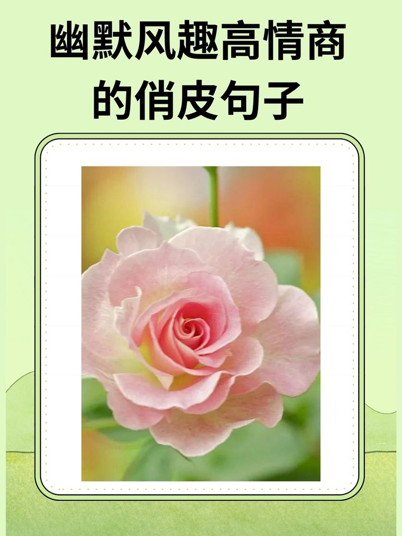幽默风趣高情商的俏皮句子
