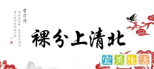 清北裸分密码：近五年湖北高考顶尖学霸各科分数全解析--基于2021-2025年物理类前100名考生全数据