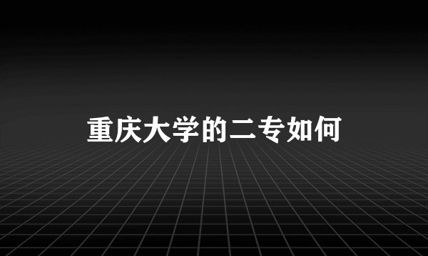 重庆大学的二专如何