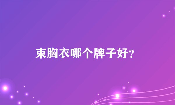束胸衣哪个牌子好？
