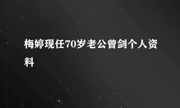 梅婷现任70岁老公曾剑个人资料
