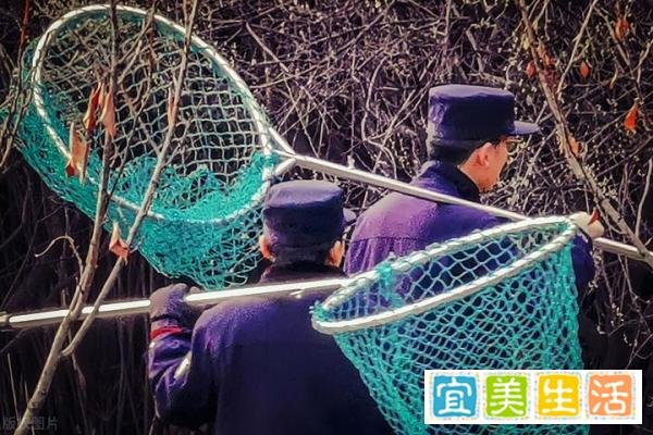 湖南一城管当街掌掴商贩,被打商贩不还手,最新消息来了