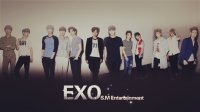 求exo合体12个人的QQ头像
