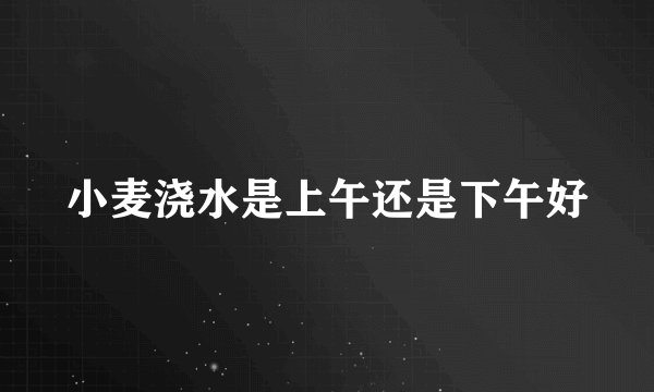 小麦浇水是上午还是下午好