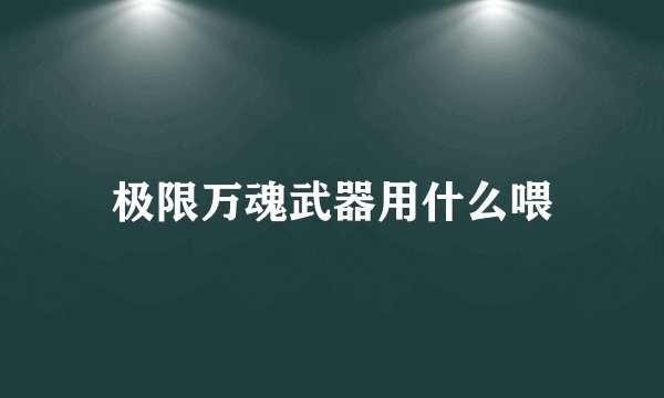 极限万魂武器用什么喂