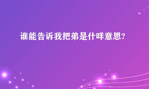 谁能告诉我把弟是什咩意思?