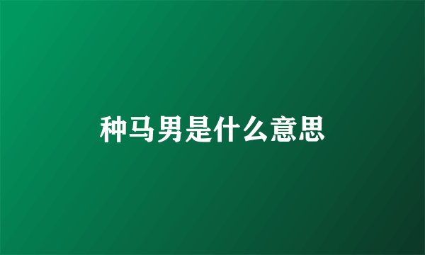 种马男是什么意思