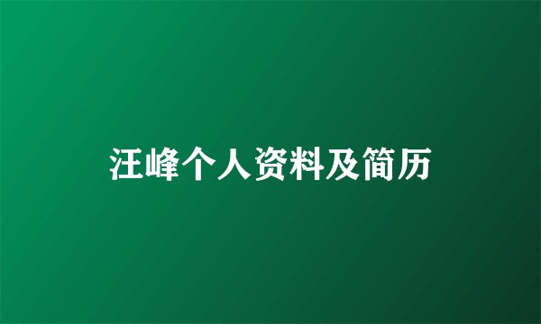 汪峰个人资料及简历