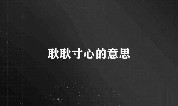 耿耿寸心的意思