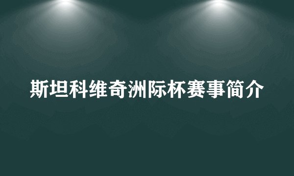 斯坦科维奇洲际杯赛事简介