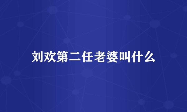 刘欢第二任老婆叫什么