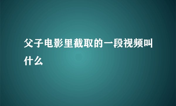 父子电影里截取的一段视频叫什么