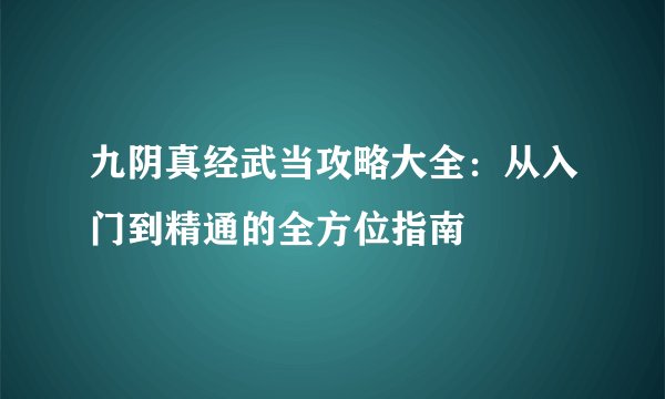 九阴真经武当攻略大全：从入门到精通的全方位指南