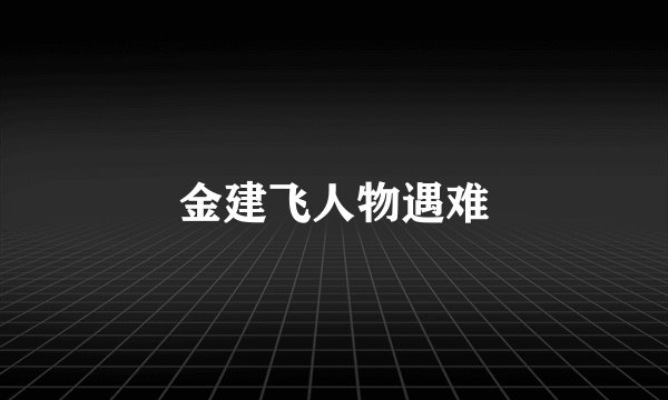 金建飞人物遇难