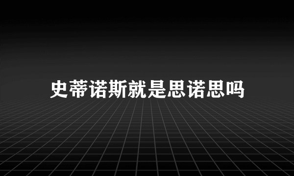 史蒂诺斯就是思诺思吗