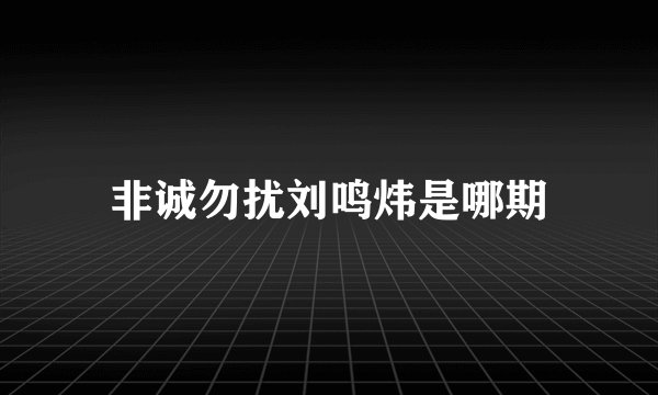 非诚勿扰刘鸣炜是哪期