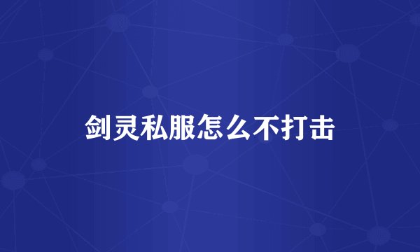 剑灵私服怎么不打击