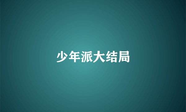 少年派大结局