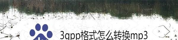 3gpp格式怎么转换mp3