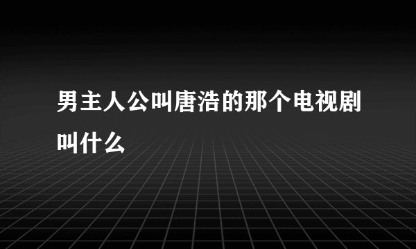 男主人公叫唐浩的那个电视剧叫什么