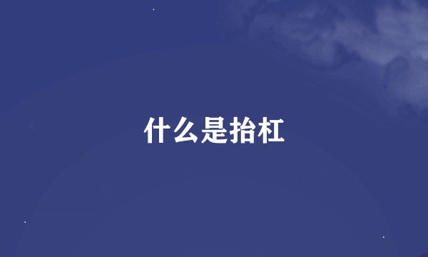 什么是抬杠