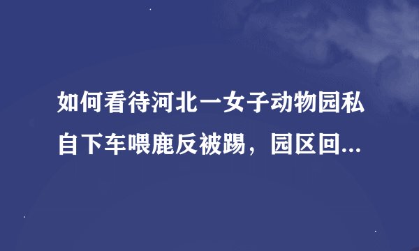 如何看待河北一女子动物园私自下车喂鹿反被踢，园区回应「该女子之所以被鹿踢和她本身素质有关」?