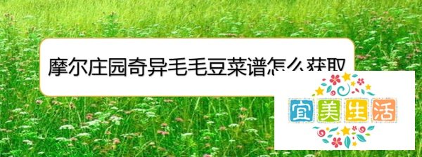 摩尔庄园奇异毛毛豆菜谱怎么获取
