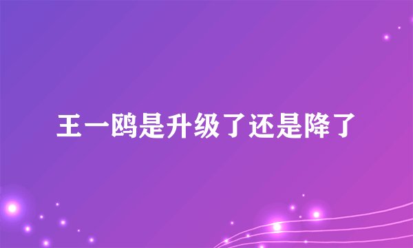王一鸥是升级了还是降了
