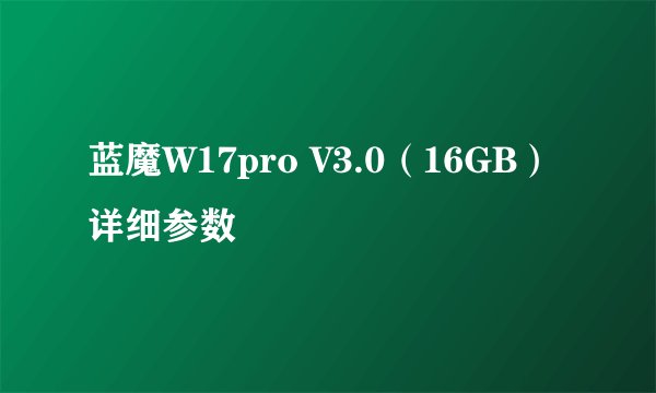 蓝魔W17pro V3.0（16GB）详细参数