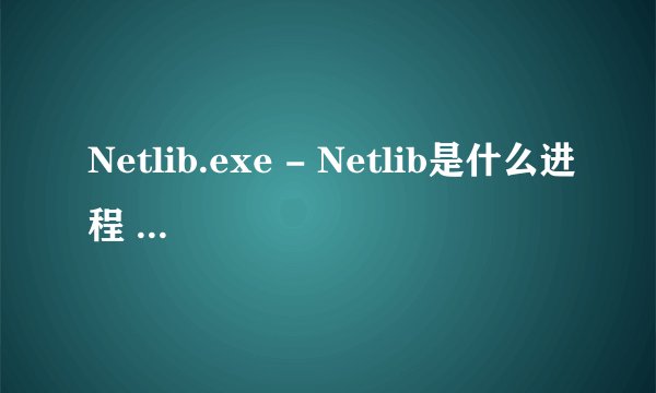 Netlib.exe - Netlib是什么进程 有什么用
