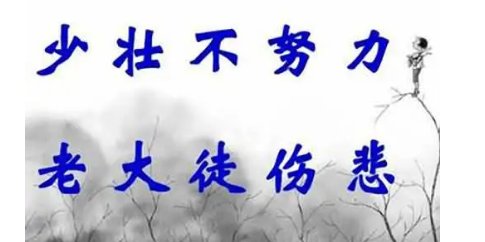 少年不努力老大徒悲哀谁写的