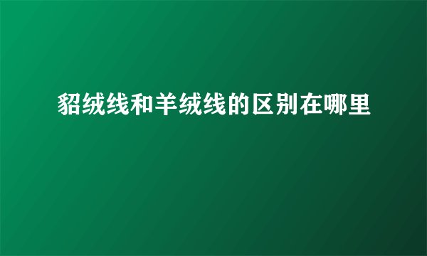 貂绒线和羊绒线的区别在哪里