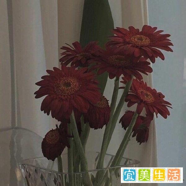 超级温柔有意义的网名