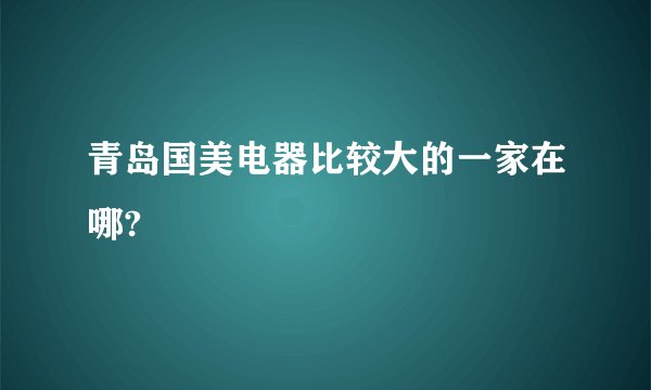 青岛国美电器比较大的一家在哪?