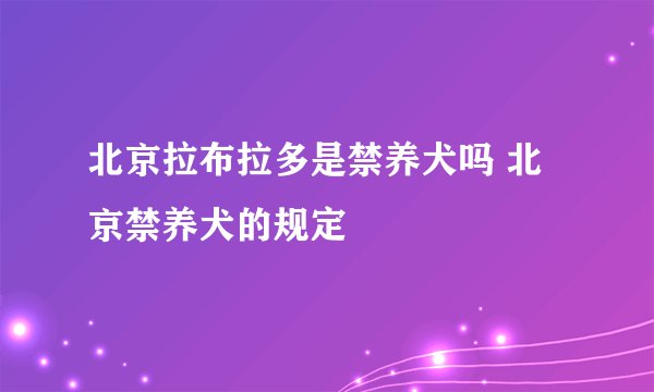 北京拉布拉多是禁养犬吗 北京禁养犬的规定