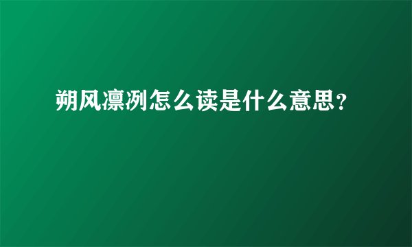 朔风凛冽怎么读是什么意思？