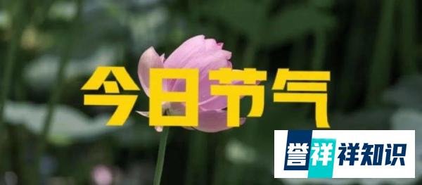 明日大年初二是“吉日”,记得:1不拜、3不穿、4不回,5要吃