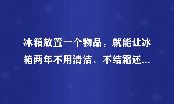 冰箱放置一个物品，就能让冰箱两年不用清洁，不结霜还特别省电，后悔到现在才晓得