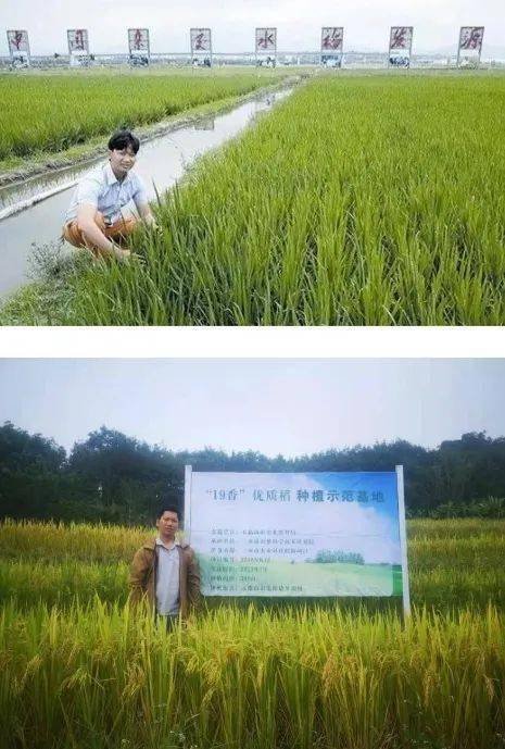 海南三亚水稻专家袁经天患癌离世，捐献器官救3人，生前还有哪些善举？