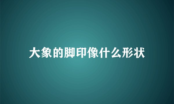 大象的脚印像什么形状