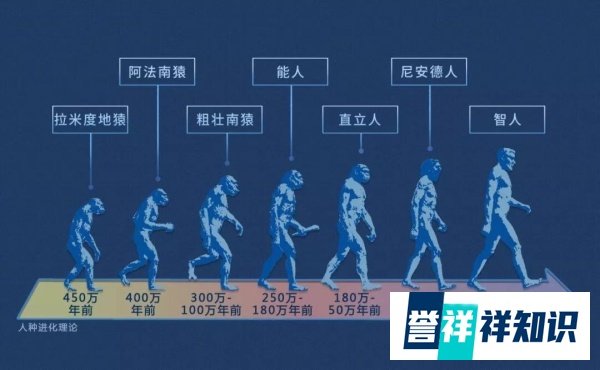 以色列发现一种未知古人类：或为20万年前失踪人口