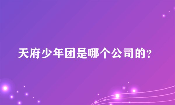 天府少年团是哪个公司的？