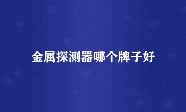金属探测器哪个牌子好