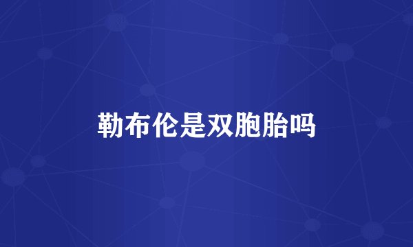 勒布伦是双胞胎吗