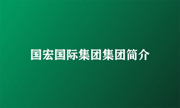 国宏国际集团集团简介