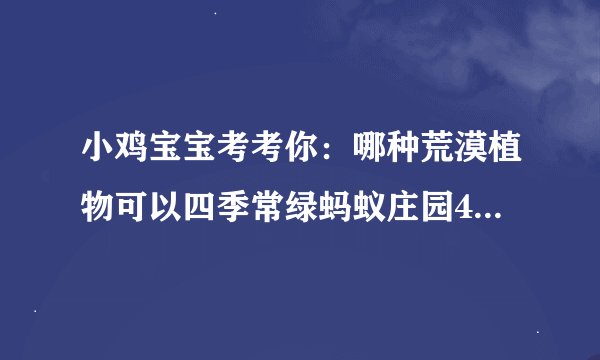 小鸡宝宝考考你：哪种荒漠植物可以四季常绿蚂蚁庄园4.22答案